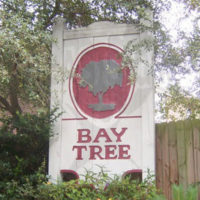 Bay Tree