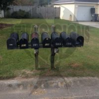 The Hastings: 7 Mailboxes and Post
