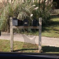 Stratford Forest: 3 Mailboxes and Post