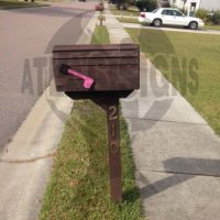 Hanahan Plantation: Mailbox and Post