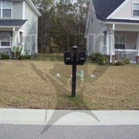 Phillips Manor: 2 Mailboxes and Post