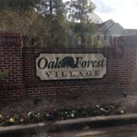 Oak Forest