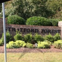Stratford Forest