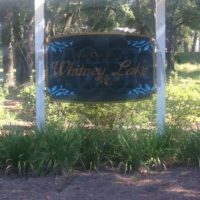 The Gardens of Whitney Lake