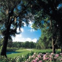 The Sanctuary at Withers Preserve