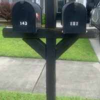 Barony: 2 Mailbox and Post